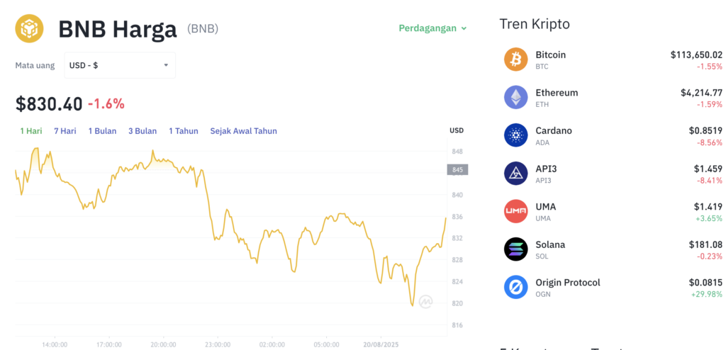 Pergerakan harga BNB (BNB/USDT) pada Rabu, 20 Agustus 2025. Sumber: Tokocrypto.