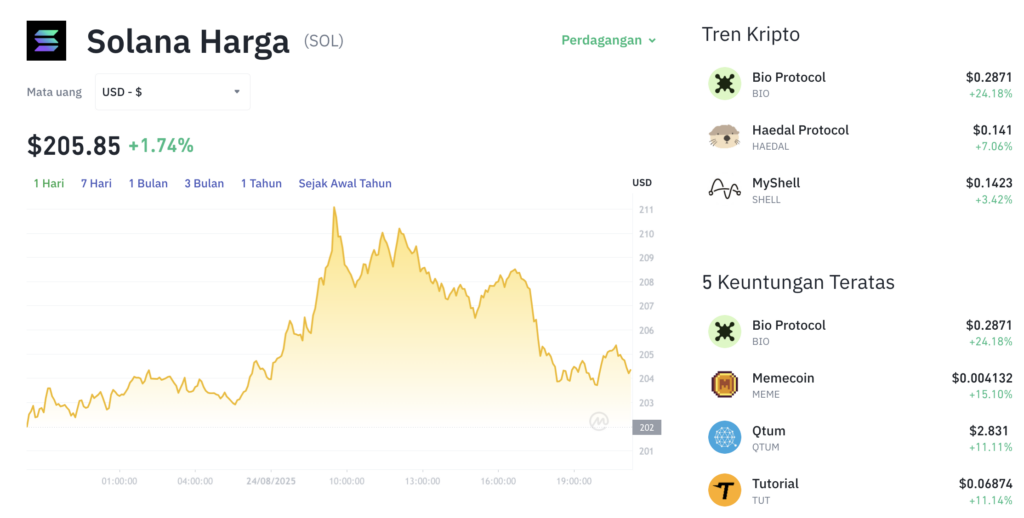 Pergerakan harga Solana (SOL/USDT) pada Minggu, 24 Agustus 2025. Sumber: Tokocrypto.