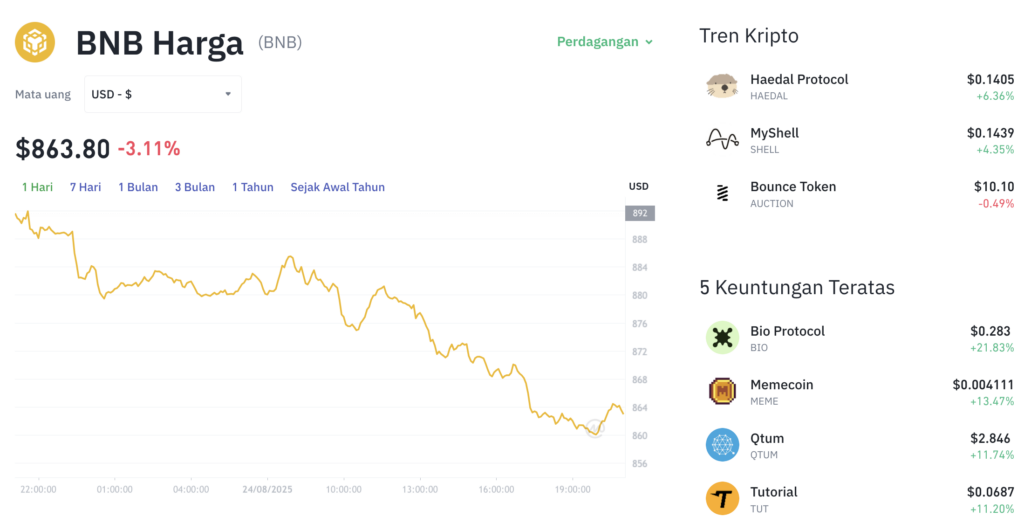 Pergerakan harga Binance Coin (BNB/USDT) pada Minggu, 24 Agustus 2025. Sumber: Tokocrypto.