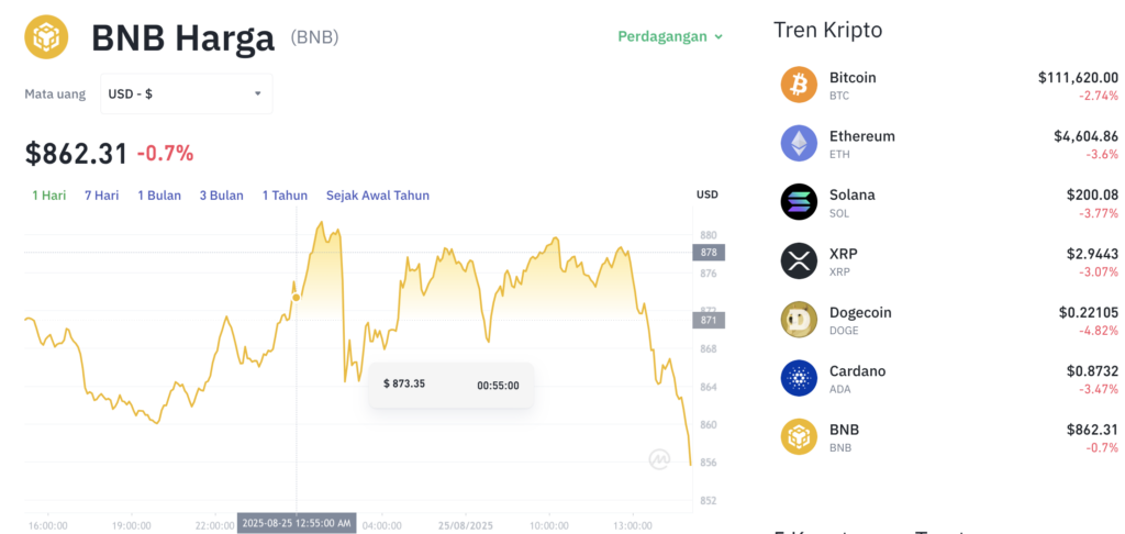 Pergerakan harga Binance Coin (BNB/USDT) pada Senin, 25 Agustus 2025. Sumber: Tokocrypto.
