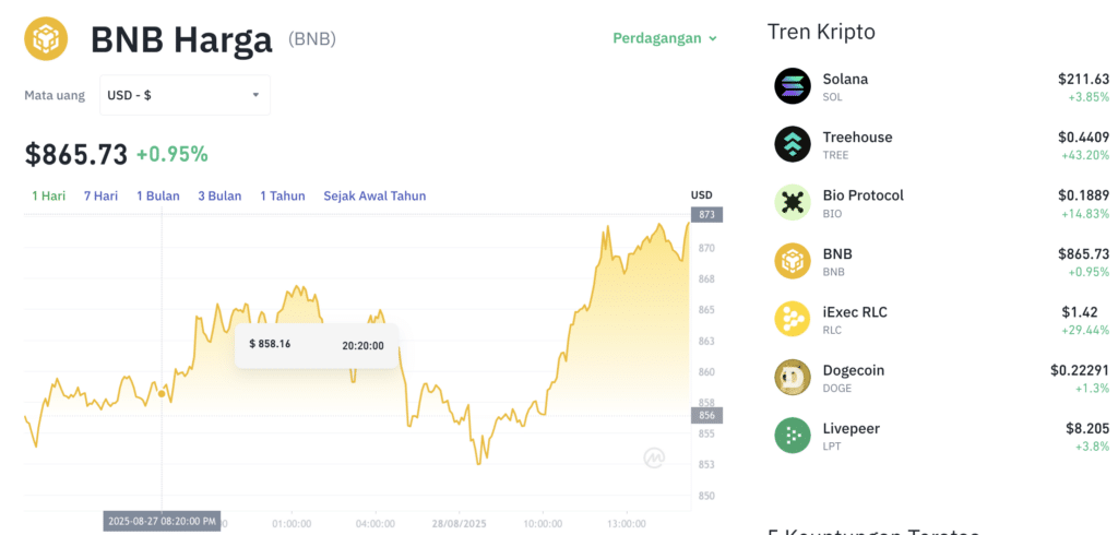 Pergerakan harga Binance Coin BNB/USDT) pada Kamis, 28 Agustus 2025. Sumber: Tokocrypto.