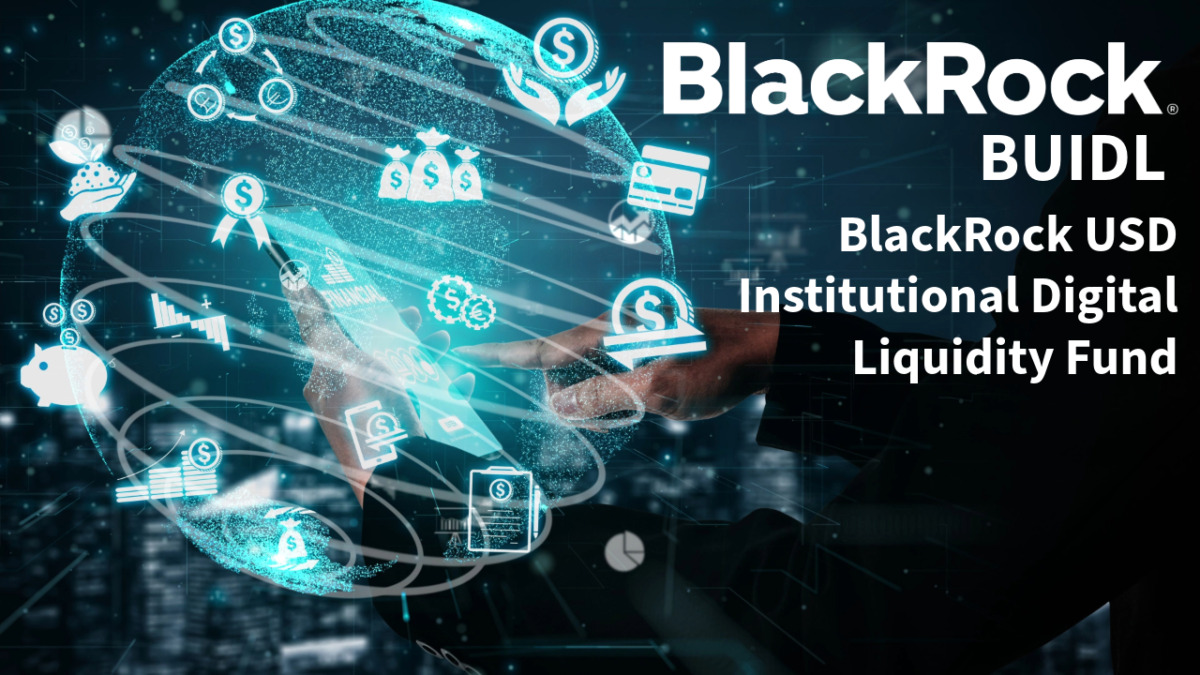 BlackRock USD Institutional Digital Liquidity Fund (BUIDL)