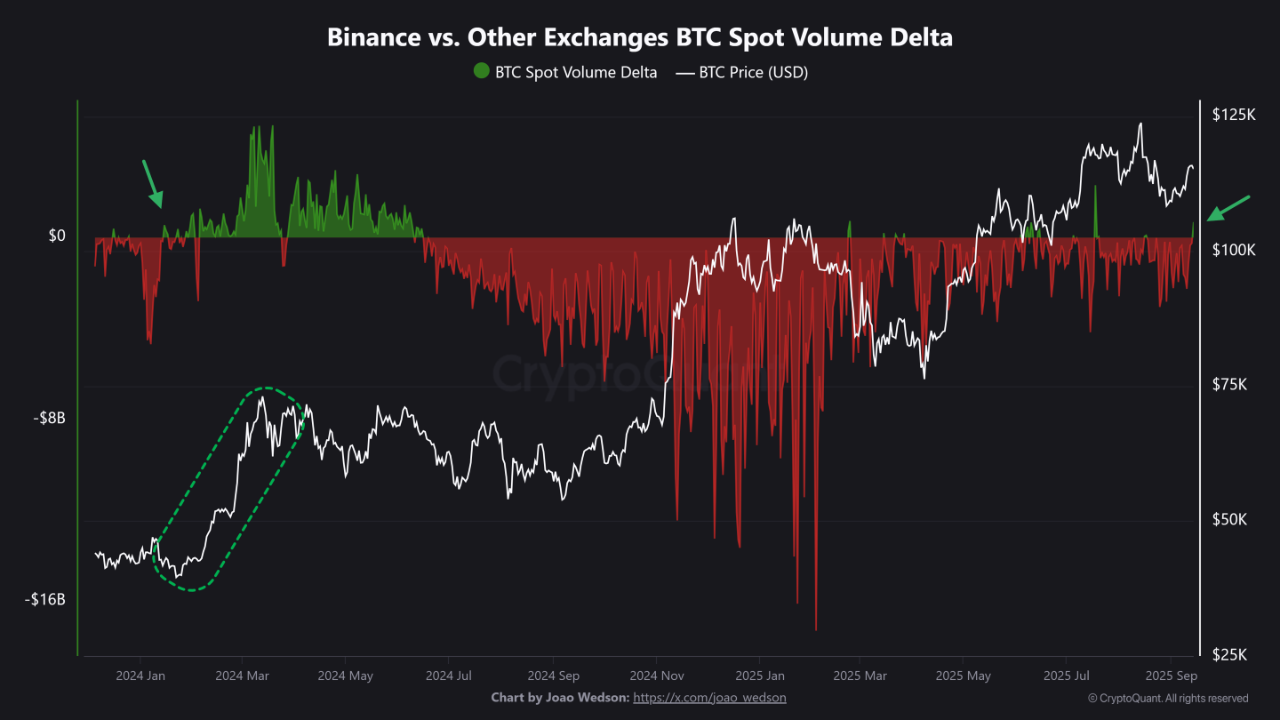Analisis Data On-Chain Bitcoin 3 - Binance vs Other Exchanges BTC Spot Volume Delta