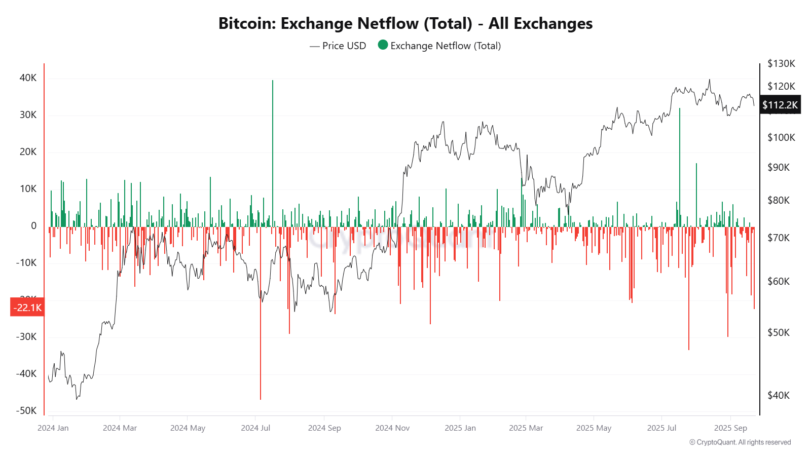 Bitcoin Exchange Netflow (Total). Source by Cryptoquant.