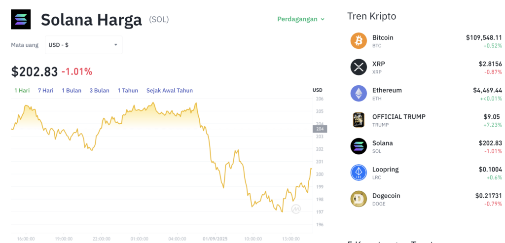 Pergerakan harga Solana (SOL/USDT) pada Senin, 1 September 2025. Sumber: Tokocrypto.