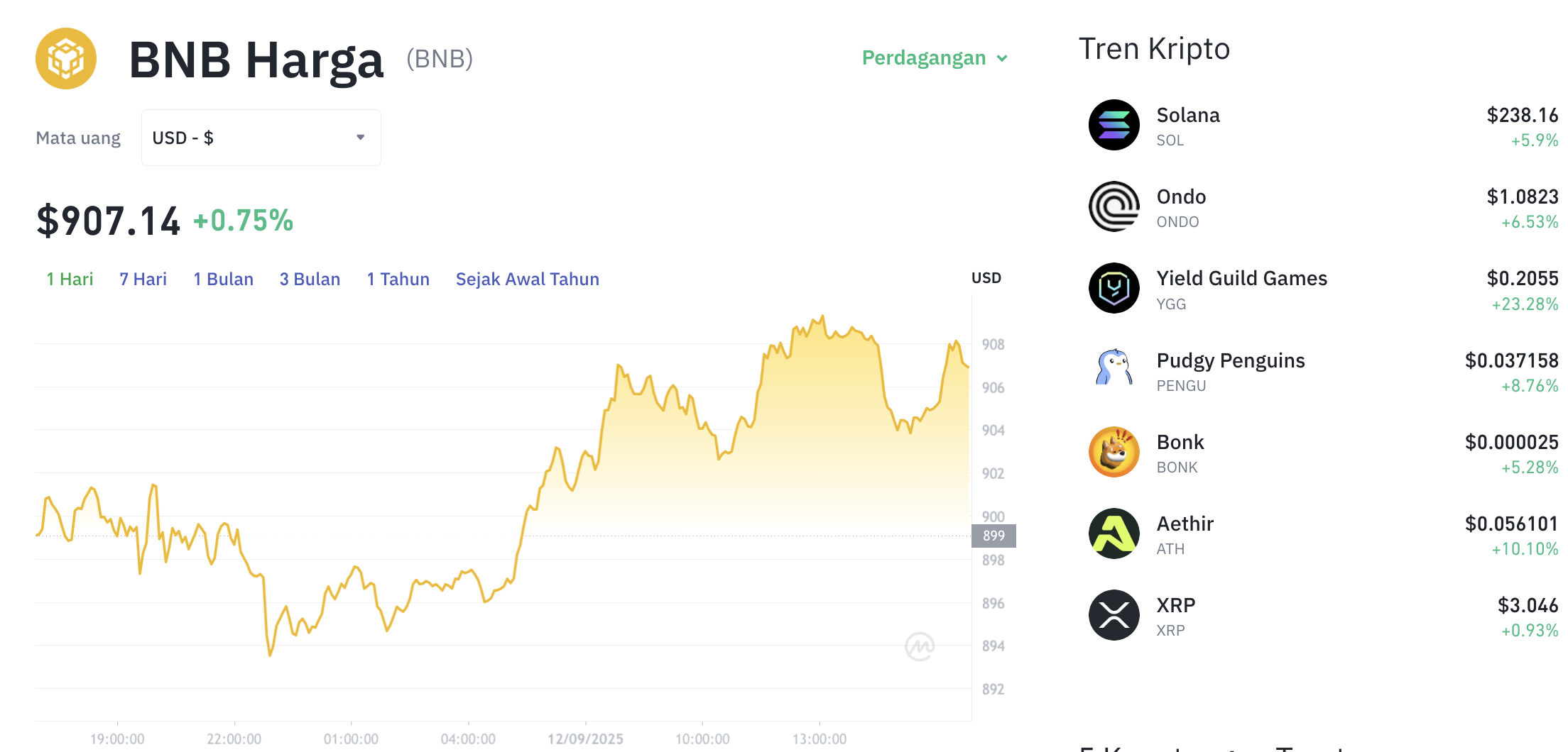Pergerakan harga Binance Coin (BNB/USDT) pada Jumat, 12 September 2025. Sumber: Tokocrypto.