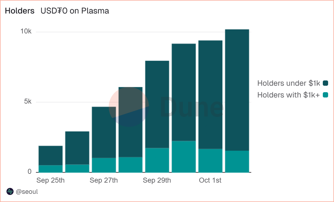Holder USDT0 Plasma. Source by Dune.