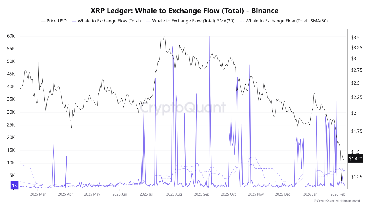 XRP Jatuh ke $1,42, Tapi Whale Belum Menjual, Sinyal Apa?
