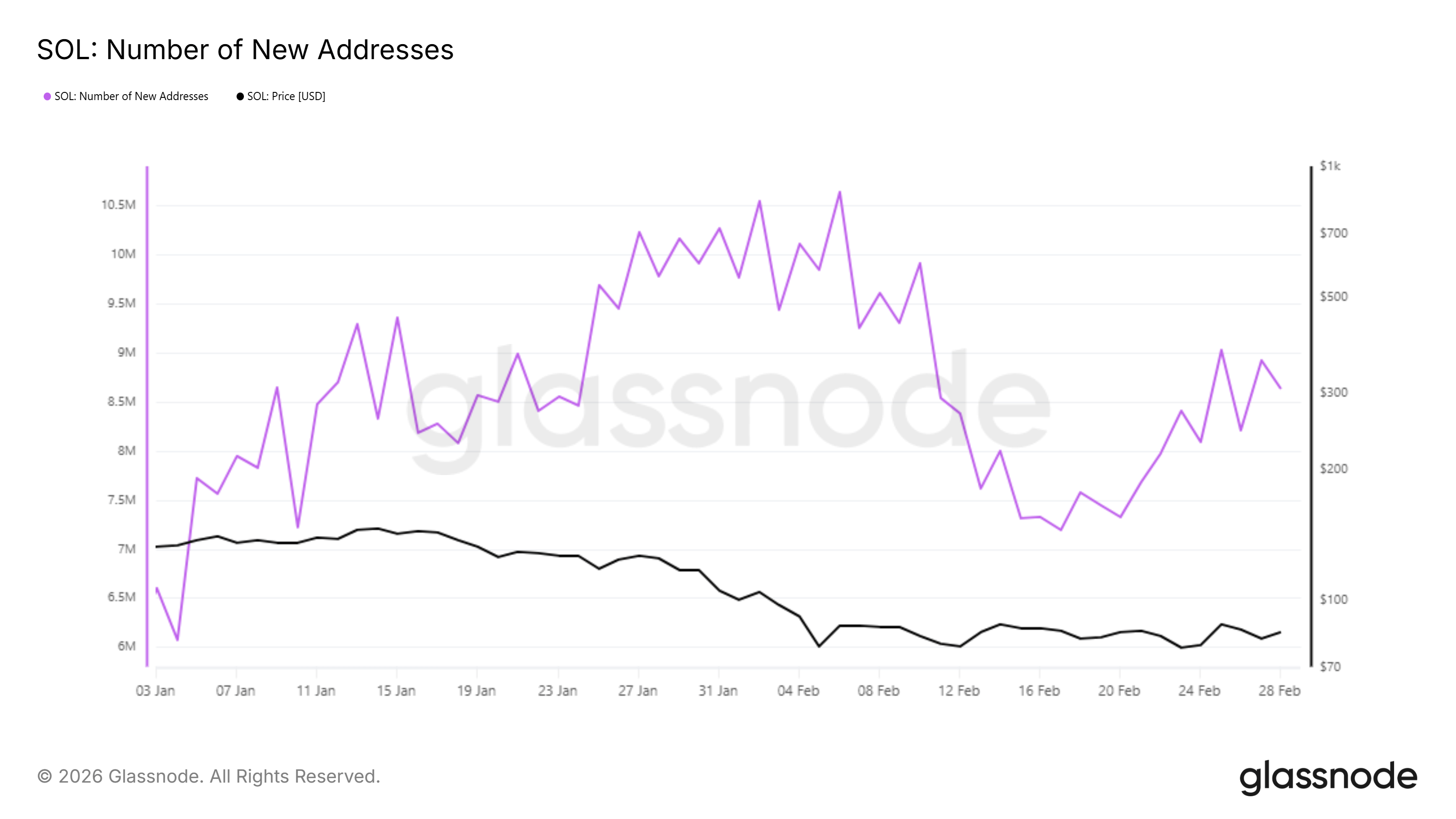 Harga SOL Mengunci di Range Sempit, US$100 Kembali Terlihat?