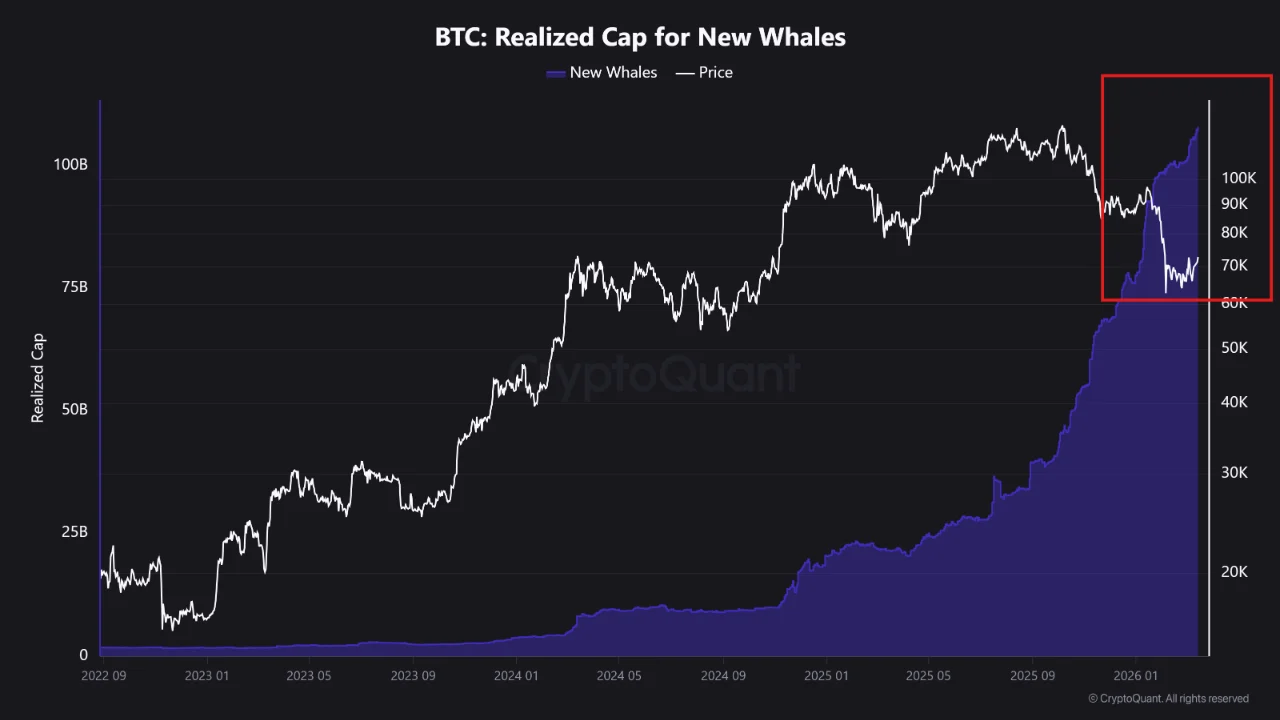 Whale Bitcoin Borong Saat Harga Anjlok, Sinyal Akumulasi?