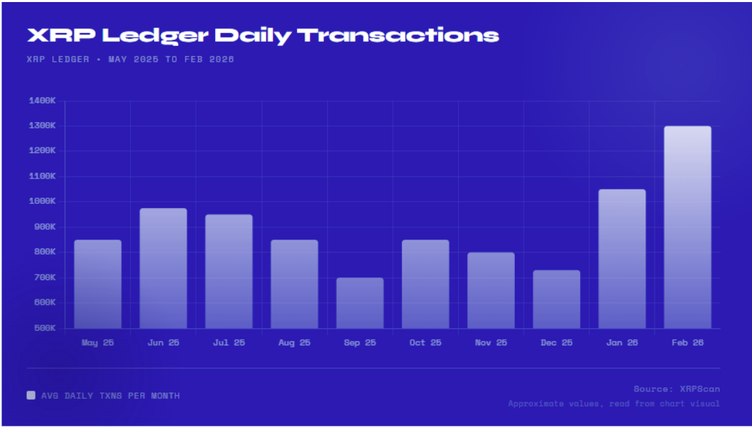 Transaksi XRP Meledak 3x Lipat, Tapi Harga Masih Diam?