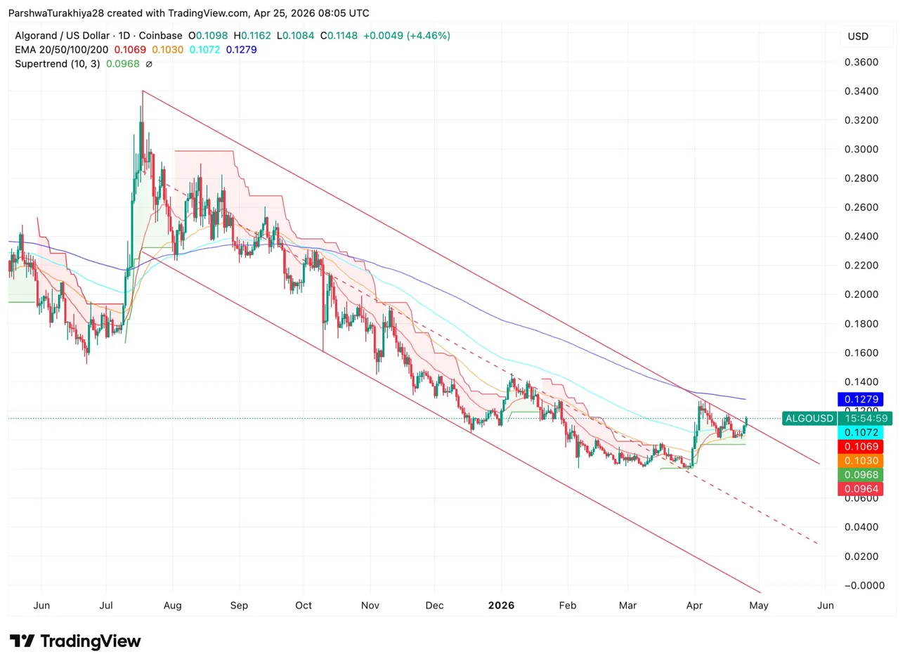 Algorand Melejit! Disebut Paling Tahan Quantum oleh Coinbase