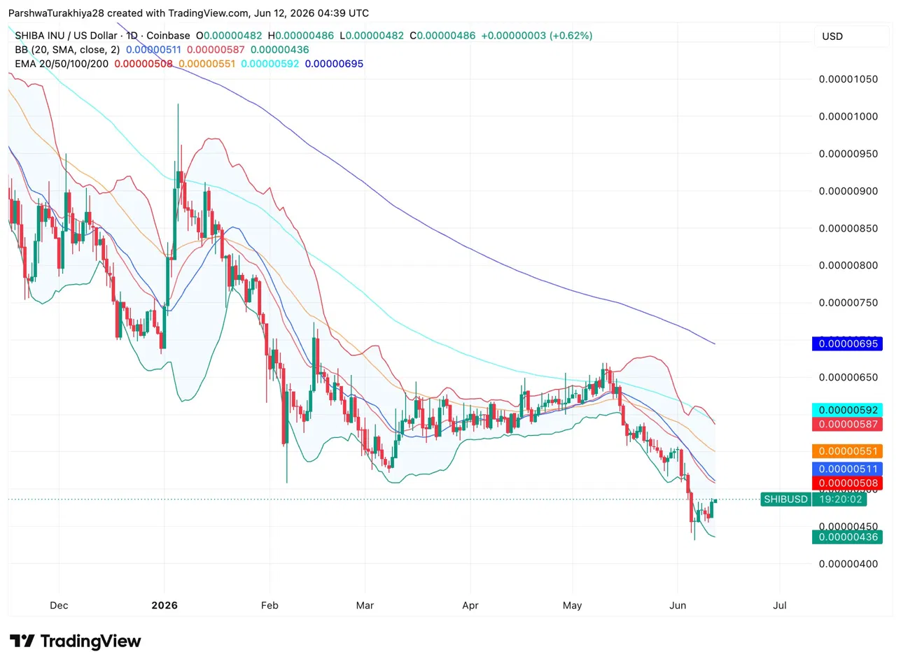 Prediksi Harga Shiba Inu: Burn Rate Naik 883% Support Kritis